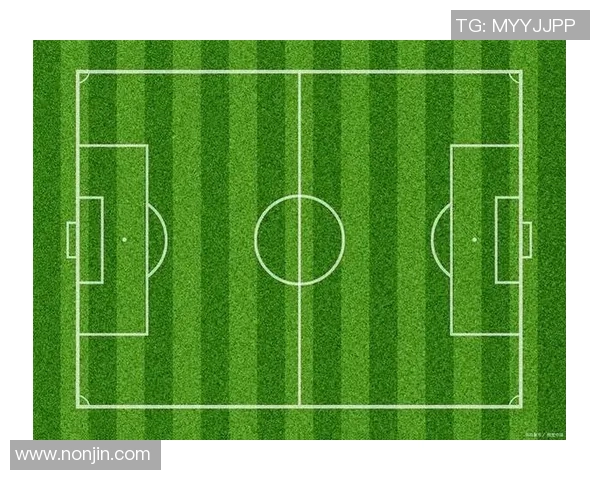 球星豪宅内的私人足球场揭秘其所在位置与独特设计细节