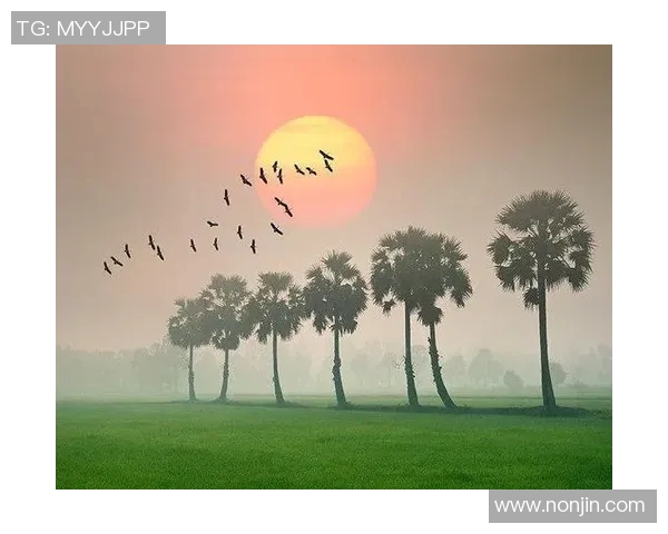 足球巨星心声：回顾职业生涯的点滴与未来发展的深度思考